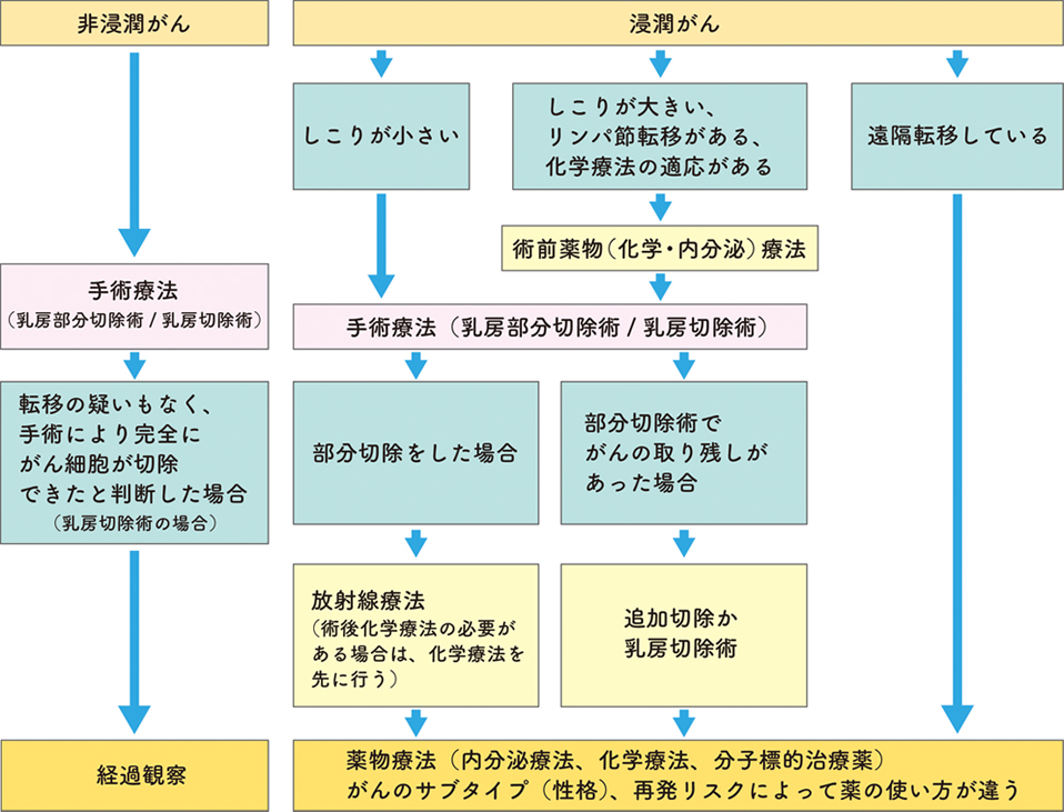 乳がんの発生